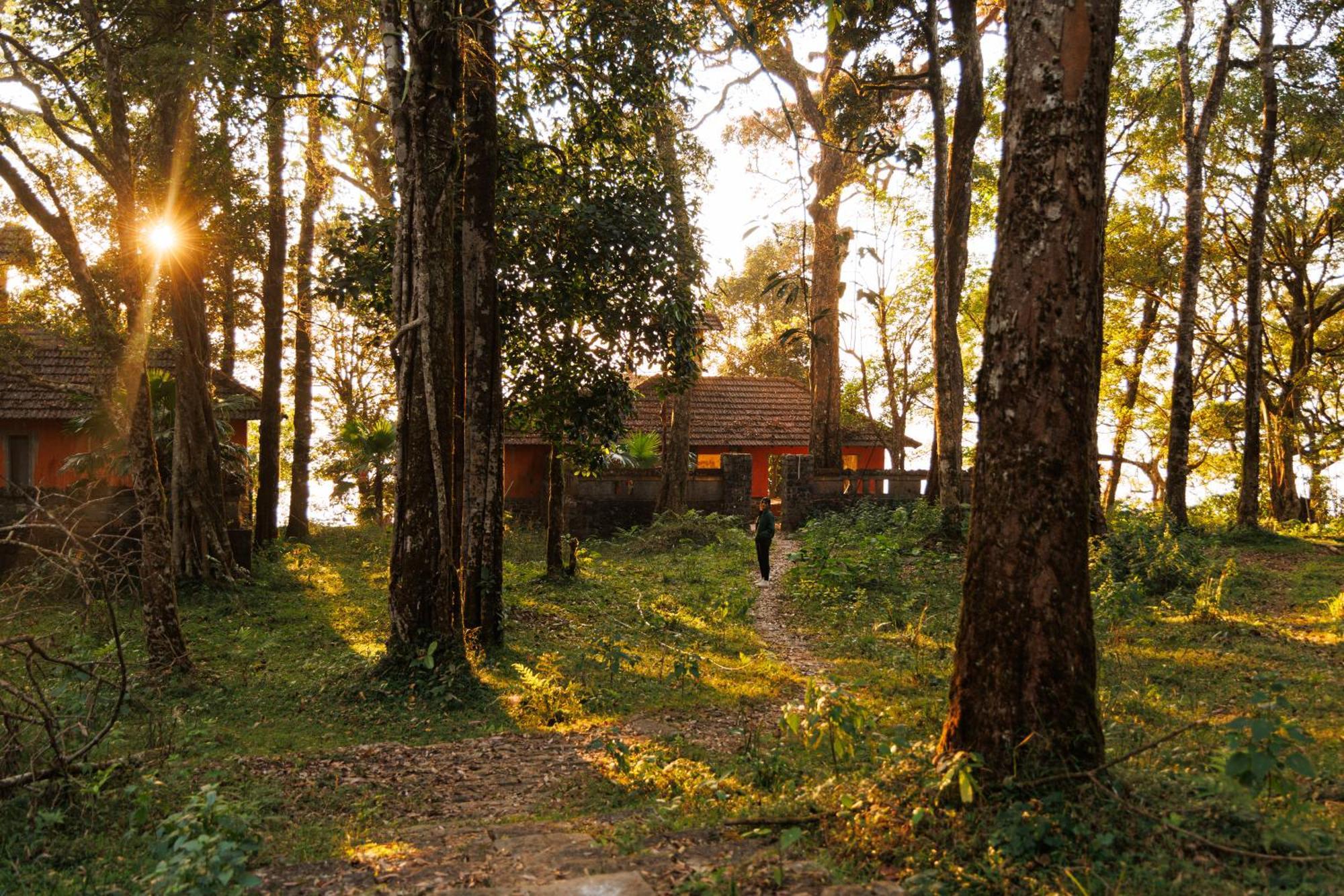 Jungle Park Resort By Greenescapes ビサーリー エクステリア 写真