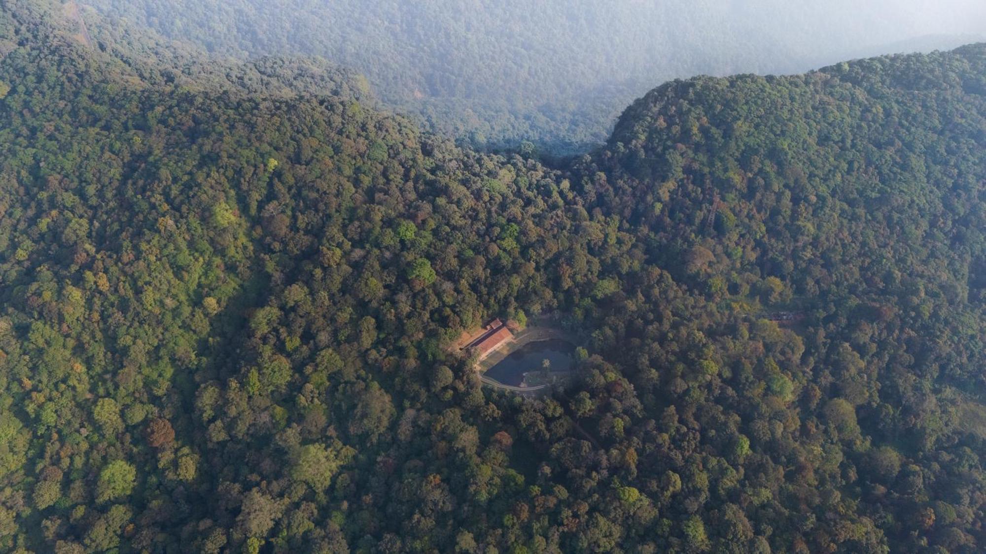 Jungle Park Resort By Greenescapes ビサーリー エクステリア 写真